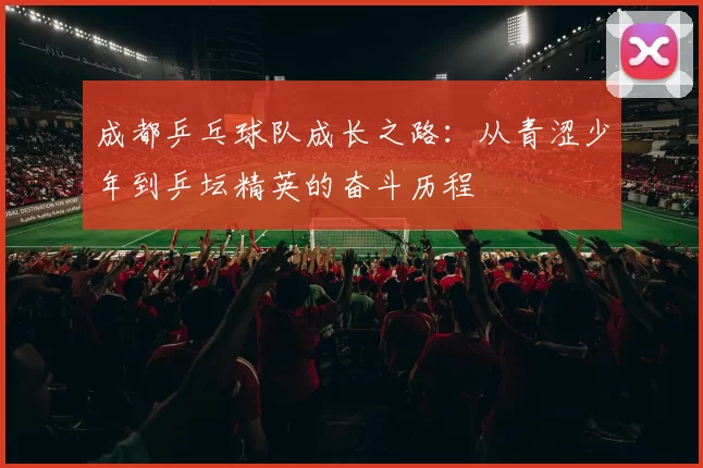 成都乒乓球队成长之路：从青涩少年到乒坛精英的奋斗历程