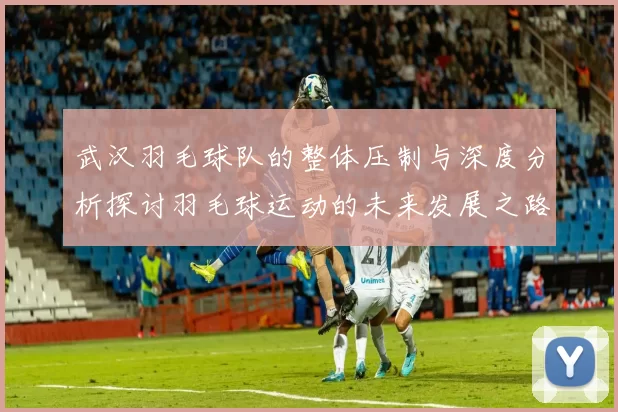 武汉羽毛球队的整体压制与深度分析探讨羽毛球运动的未来发展之路