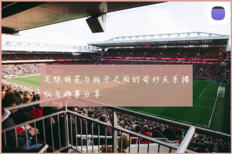 足球明星与狗子之间的奇妙关系揭秘与趣事分享