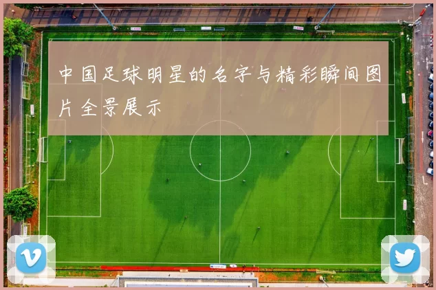 中国足球明星的名字与精彩瞬间图片全景展示