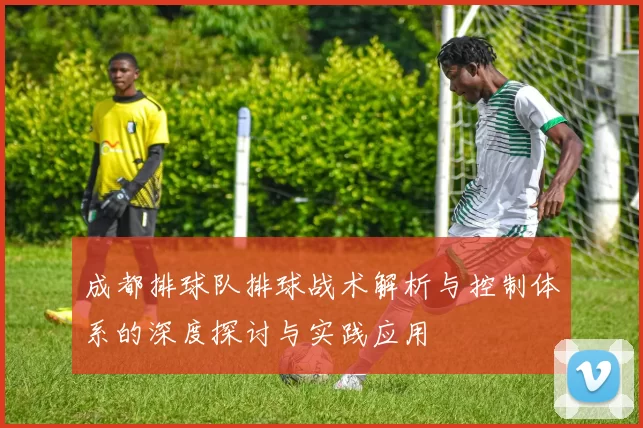 成都排球队排球战术解析与控制体系的深度探讨与实践应用
