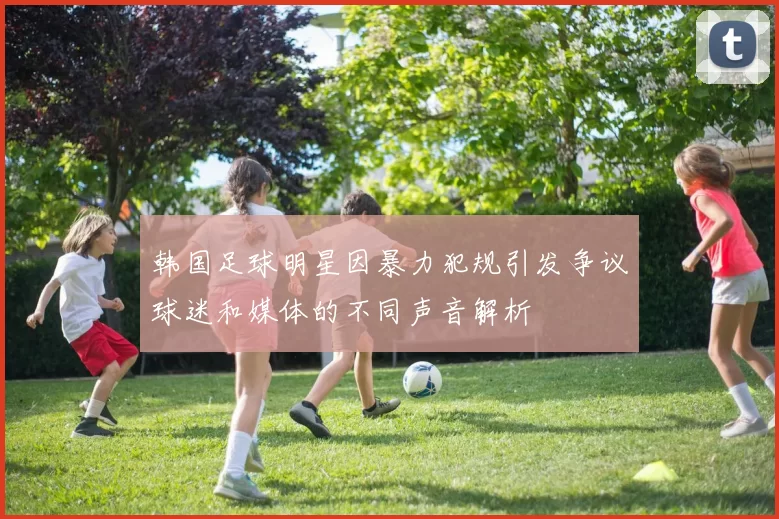 韩国足球明星因暴力犯规引发争议球迷和媒体的不同声音解析