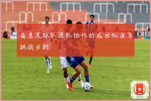 南京足球队团队协作的成功秘诀与挑战分析