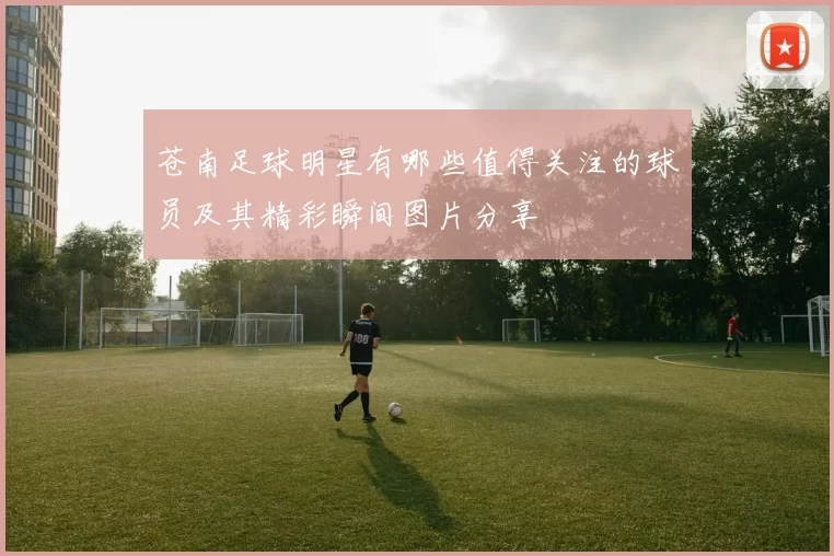 苍南足球明星有哪些值得关注的球员及其精彩瞬间图片分享
