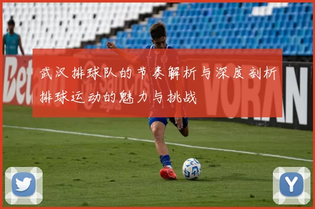 武汉排球队的节奏解析与深度剖析排球运动的魅力与挑战