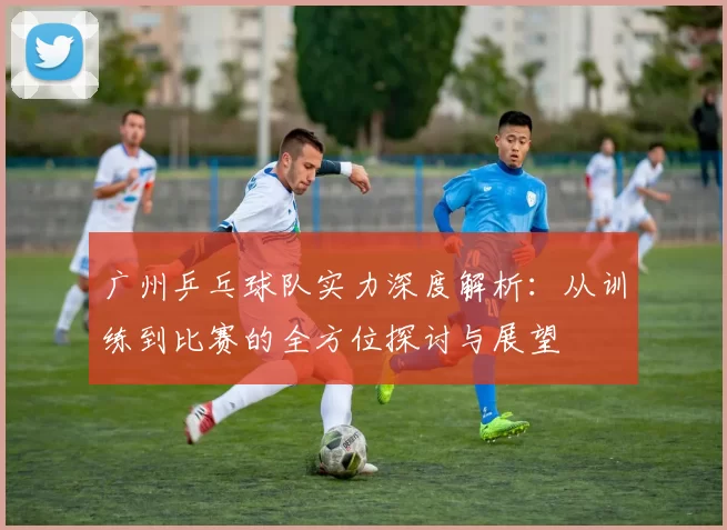 广州乒乓球队实力深度解析：从训练到比赛的全方位探讨与展望