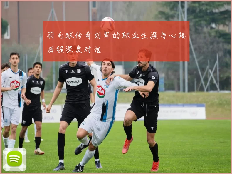 羽毛球传奇刘军的职业生涯与心路历程深度对话