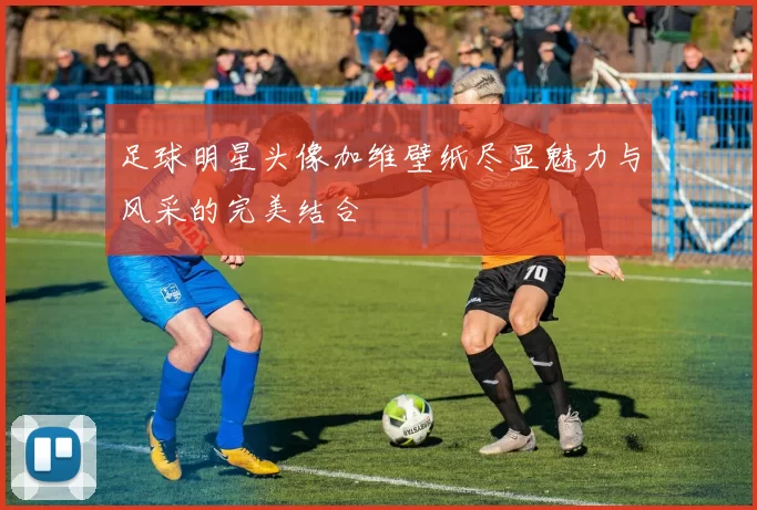 足球明星头像加维壁纸尽显魅力与风采的完美结合
