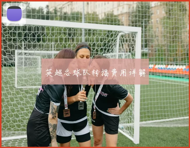 英超各球队转播费用详解