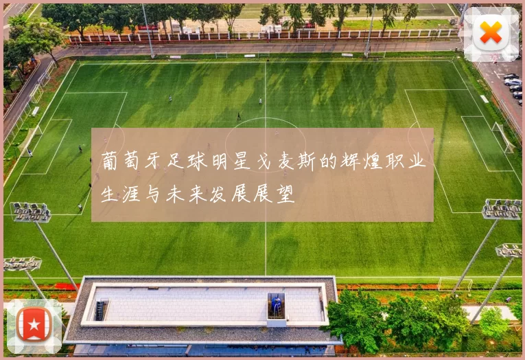 葡萄牙足球明星戈麦斯的辉煌职业生涯与未来发展展望
