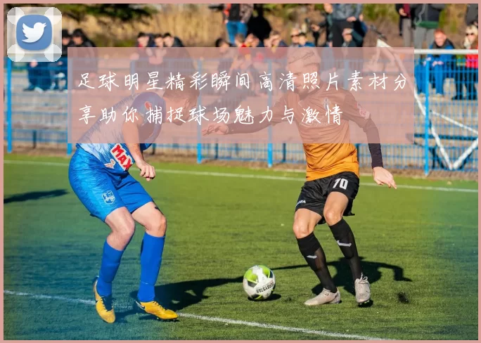 足球明星精彩瞬间高清照片素材分享助你捕捉球场魅力与激情