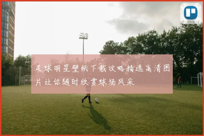 足球明星壁纸下载攻略精选高清图片让你随时欣赏球场风采