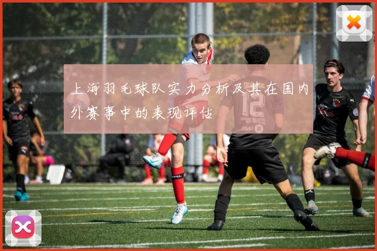 上海羽毛球队实力分析及其在国内外赛事中的表现评估