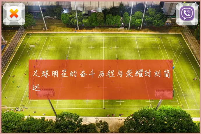 足球明星的奋斗历程与荣耀时刻简述