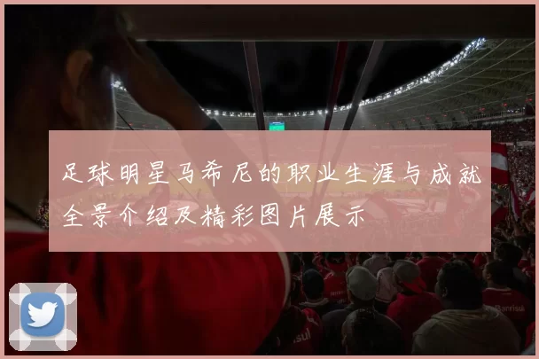 足球明星马希尼的职业生涯与成就全景介绍及精彩图片展示