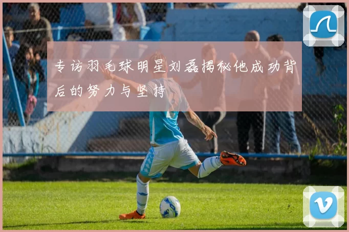 专访羽毛球明星刘磊揭秘他成功背后的努力与坚持