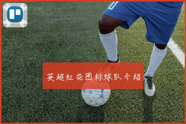 英超红花图标球队介绍