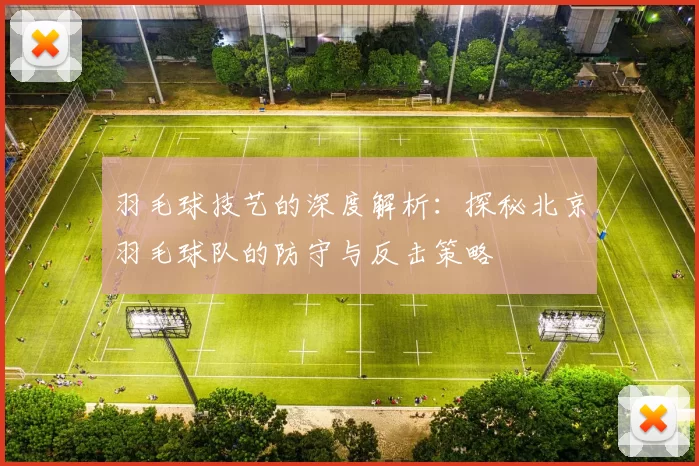 羽毛球技艺的深度解析：探秘北京羽毛球队的防守与反击策略